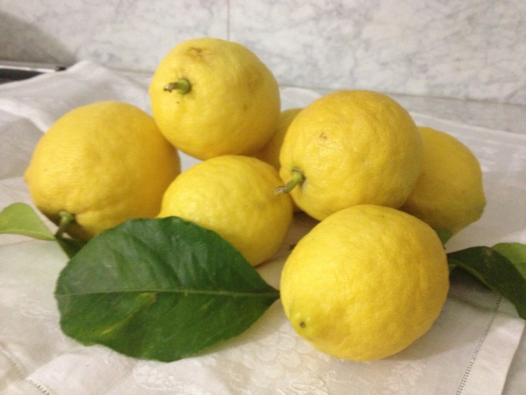 Passione Limoni invernali