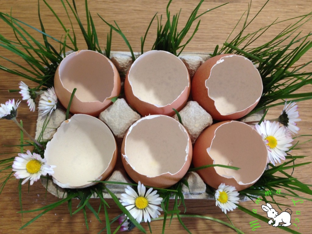 gusci di Uova di Pasqua da  riempire