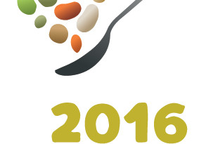 Anno internazionale dei legumi