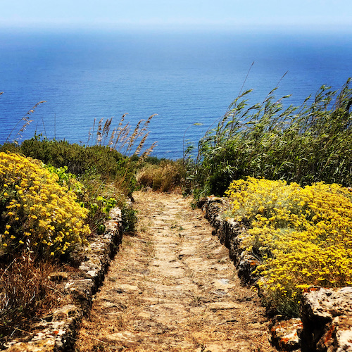 Pantelleria da sogno